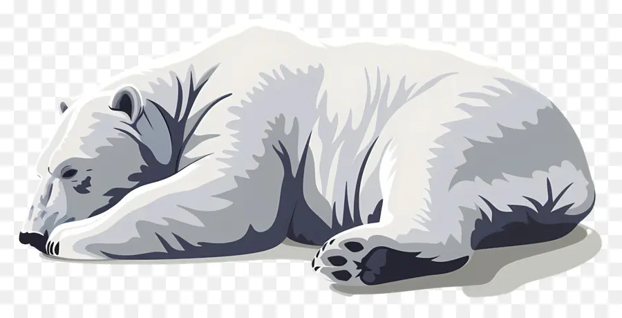 Oso Polar，Animal ártico PNG