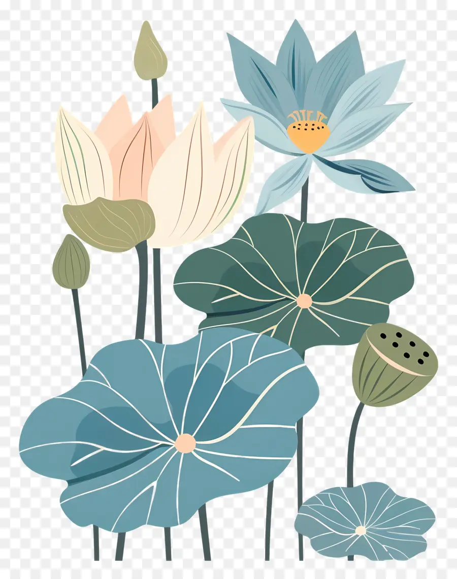 Lotus，Las Flores De Loto PNG
