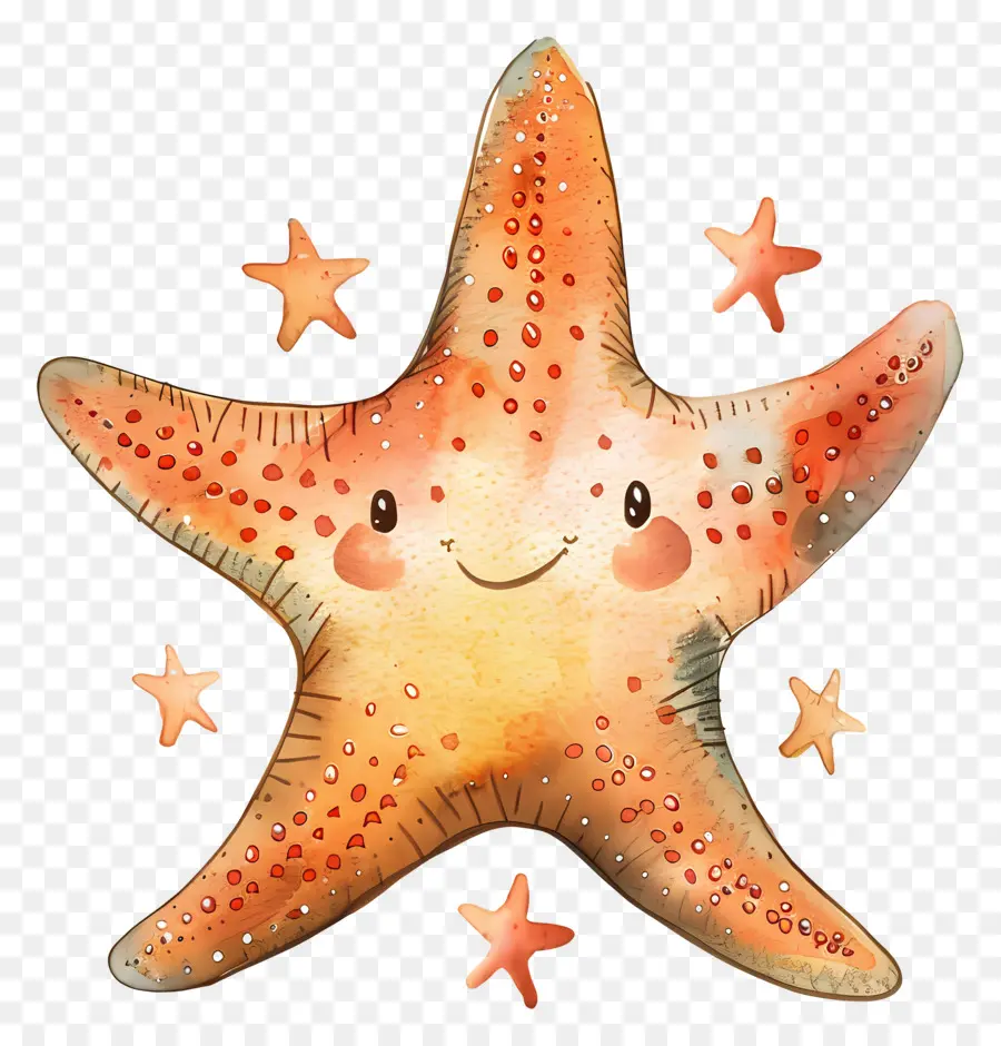 Estrella De Mar，Estrella De Mar Sonriente PNG