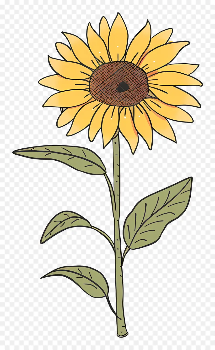 Doodle De Girasol，Girasol PNG