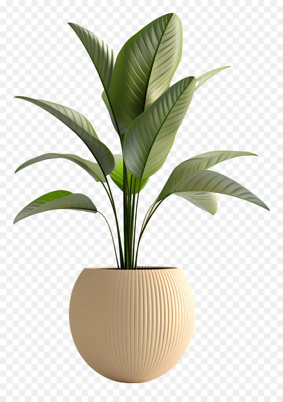 Planta Verde，Planta En Maceta PNG