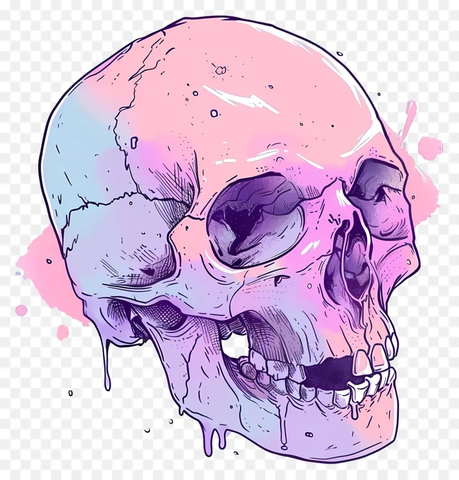 Cráneo，Cráneo De Arte PNG