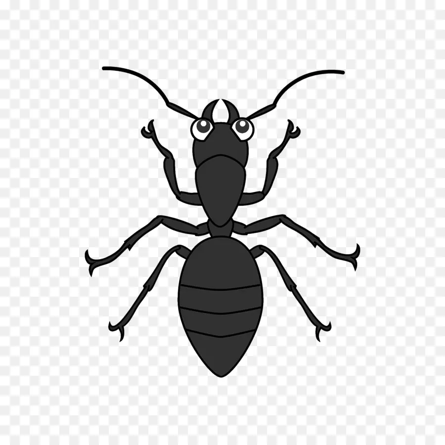 Hormiga，Los Insectos PNG