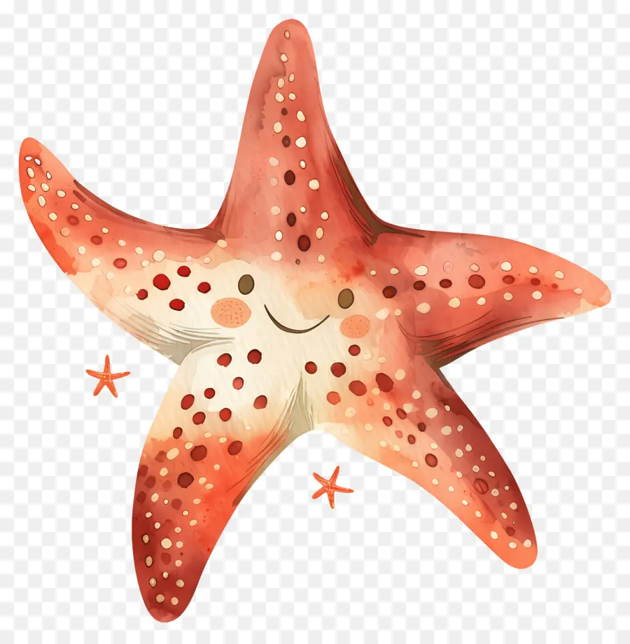 Estrella De Mar，Ilustración Acuarela PNG