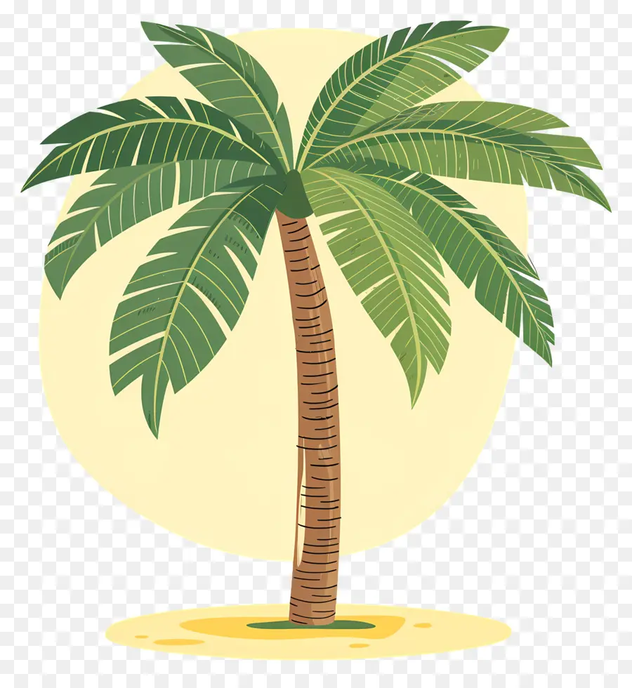 Palmera，La Isla PNG