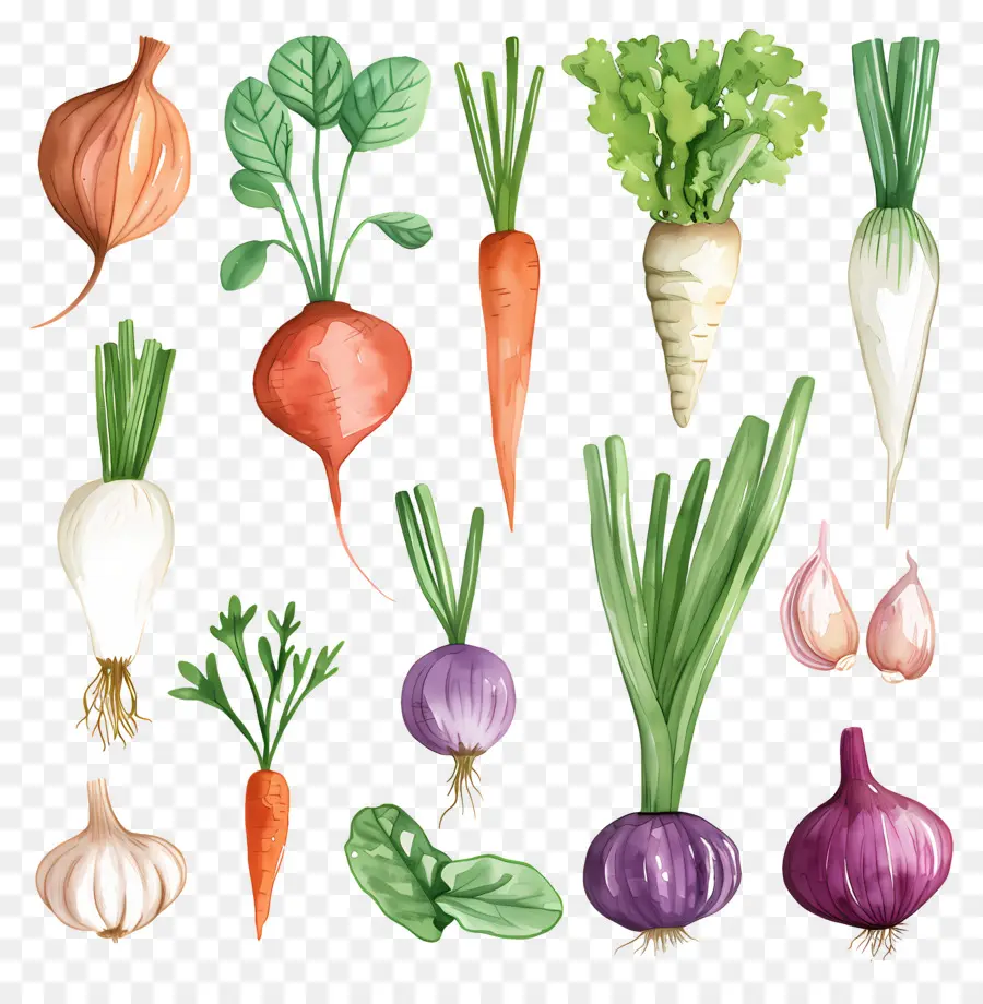 Verduras，Pintura A La Acuarela PNG