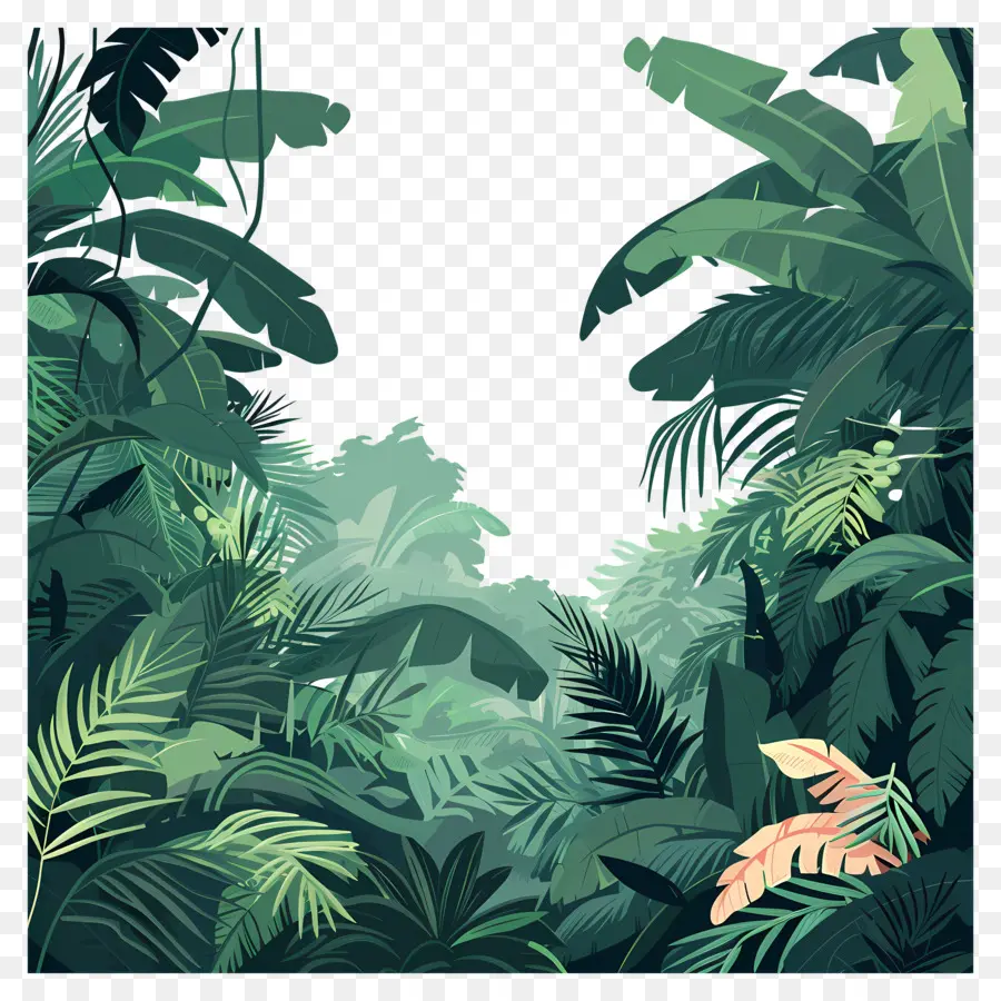 Selva，La Selva Tropical PNG