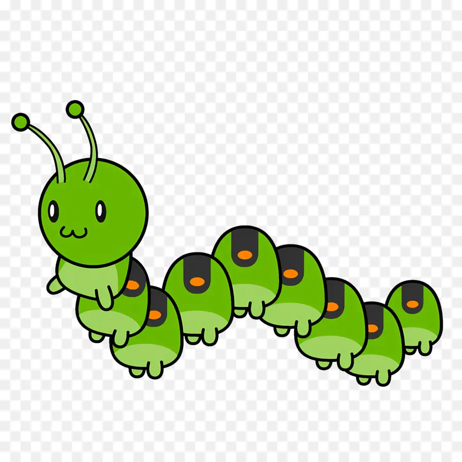 Dibujos Animados De Caterpillar，Oruga Verde PNG