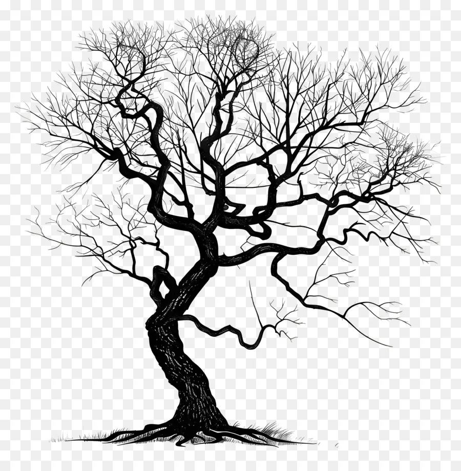 Árbol，árbol Latente PNG