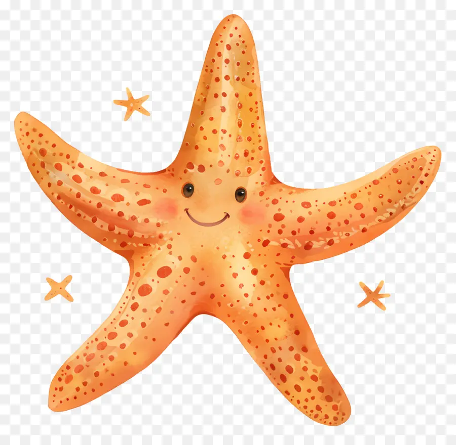 Estrella De Mar，Sonriendo PNG