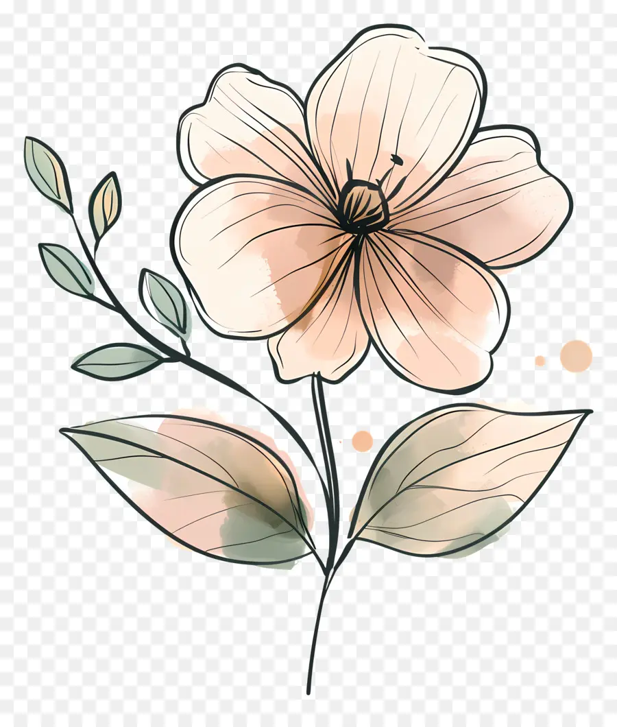 Flores，Flower Watercolor PNG