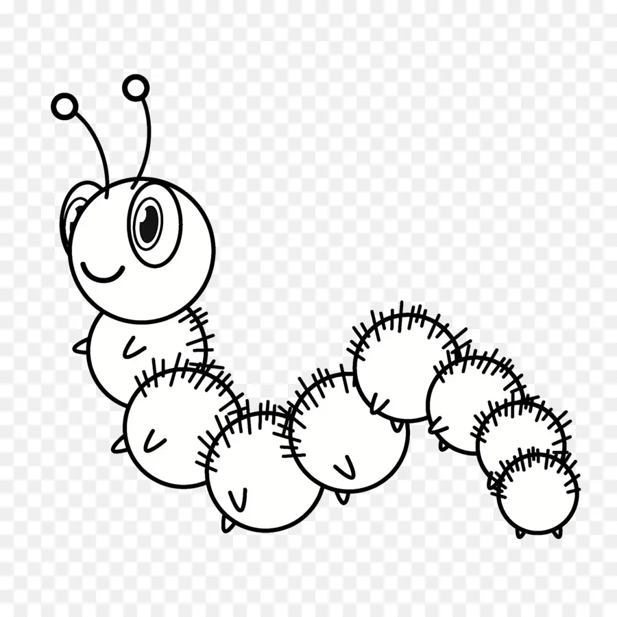 Dibujos Animados De Caterpillar，Araña PNG