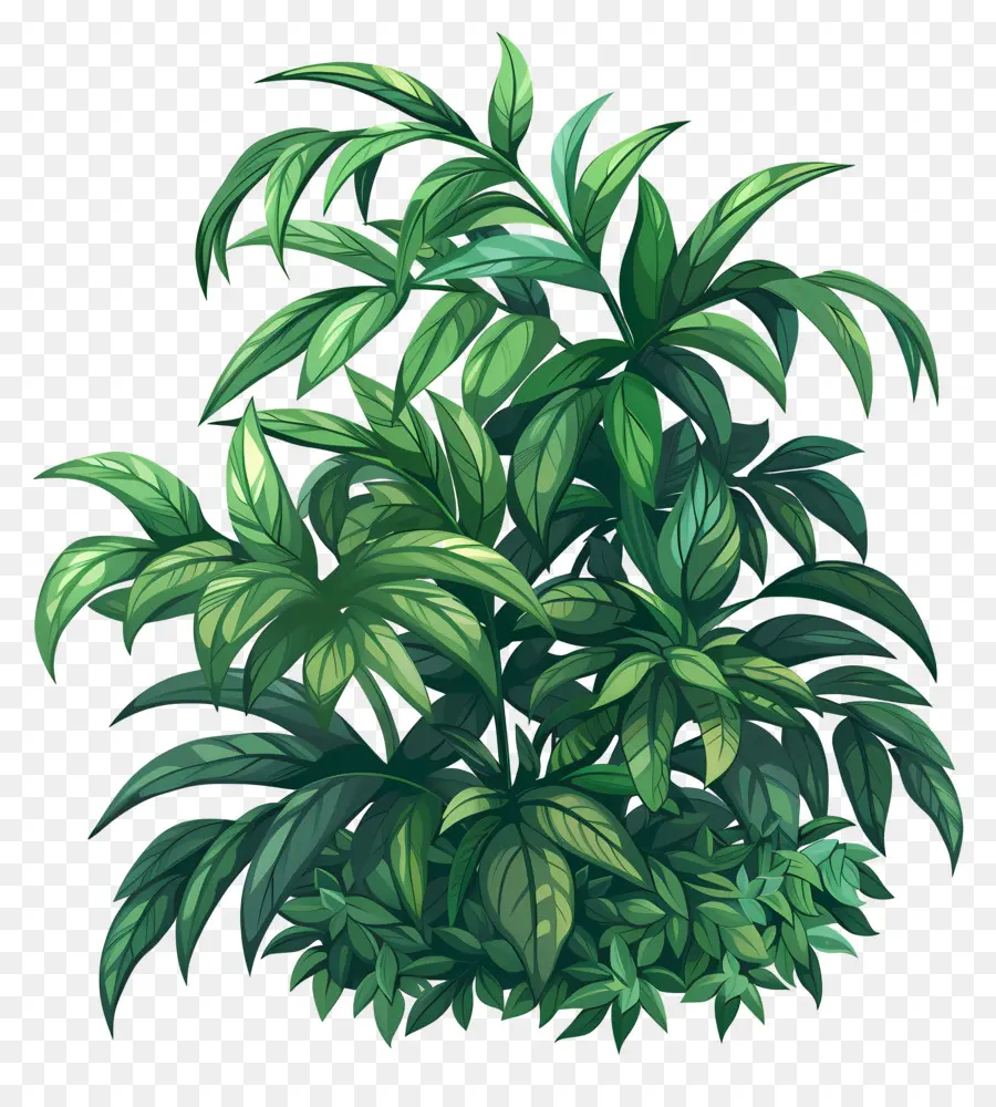 Arbusto Verde，Plantas Tropicales PNG