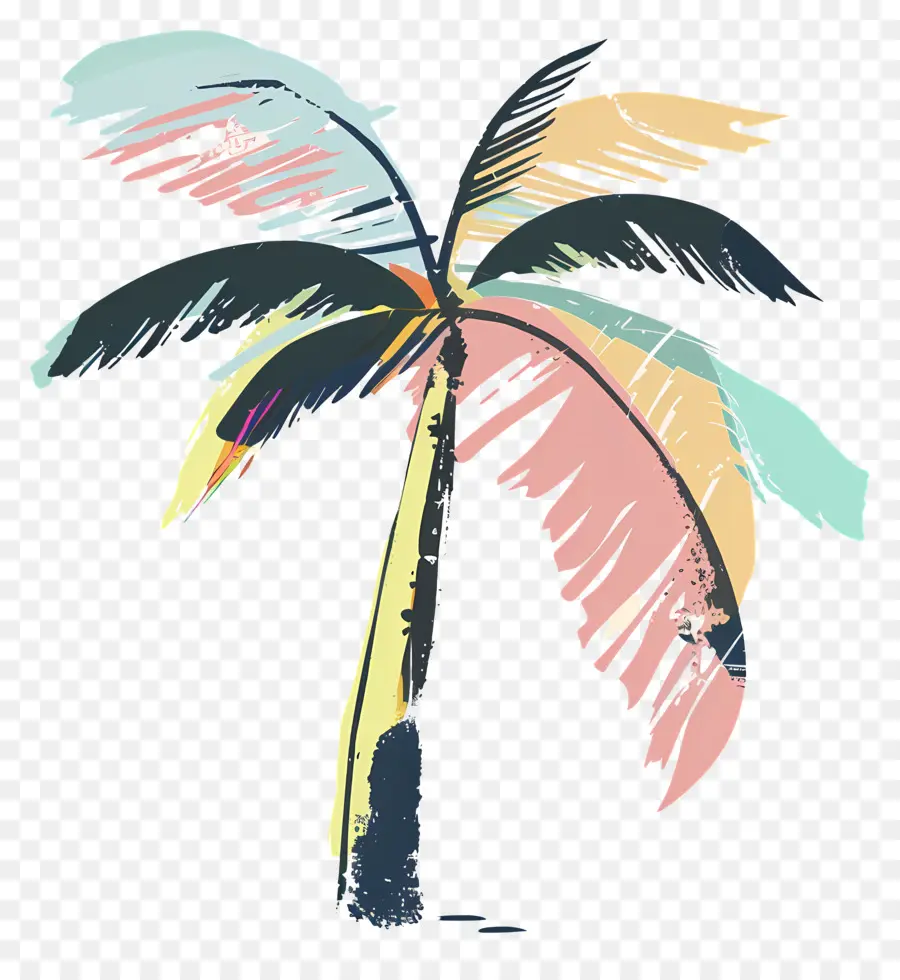 Palmera，Colorido PNG