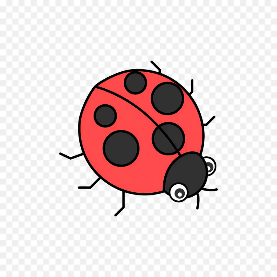 Ladybug，Rojo PNG