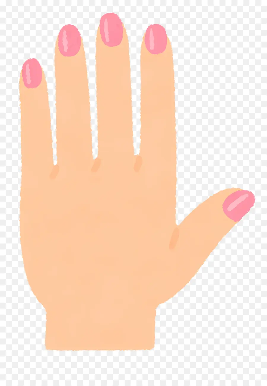 Mano，Dedos PNG