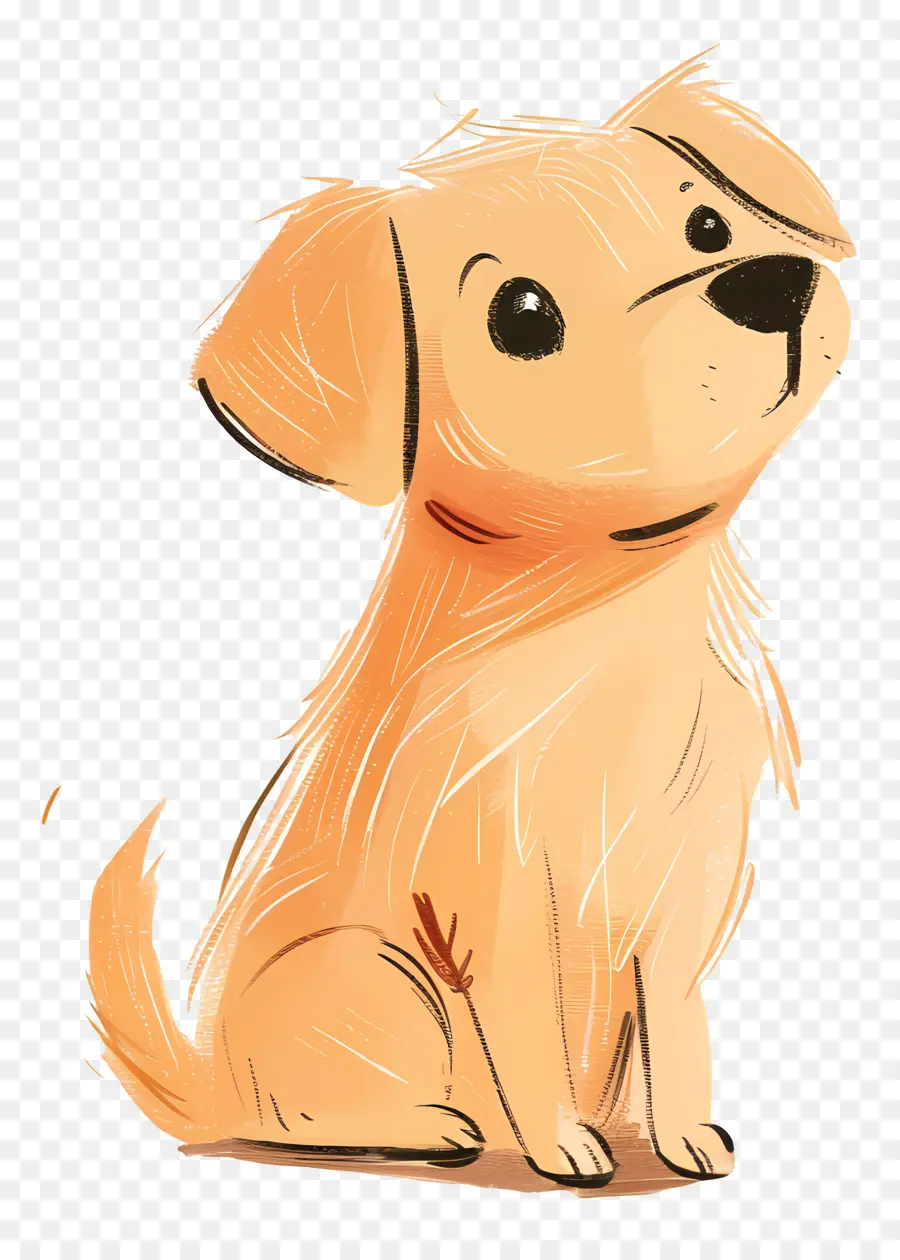 Doodle Perro，Golden Retriever PNG