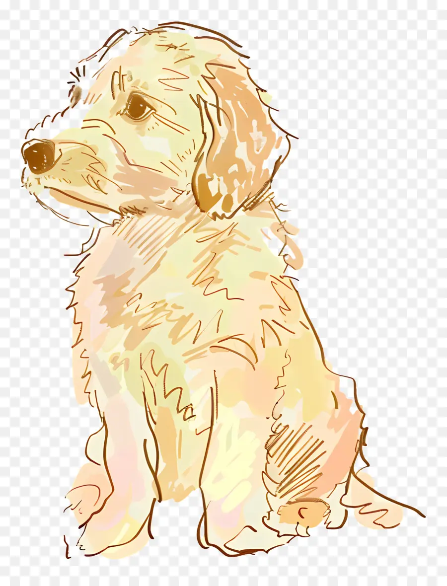 Doodle Perro，Cachorro PNG