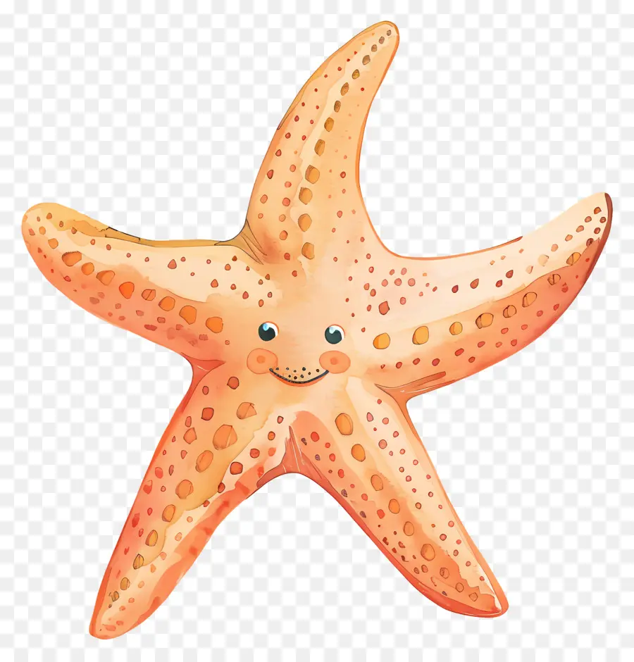 Estrella De Mar，De Los Animales Acuáticos PNG