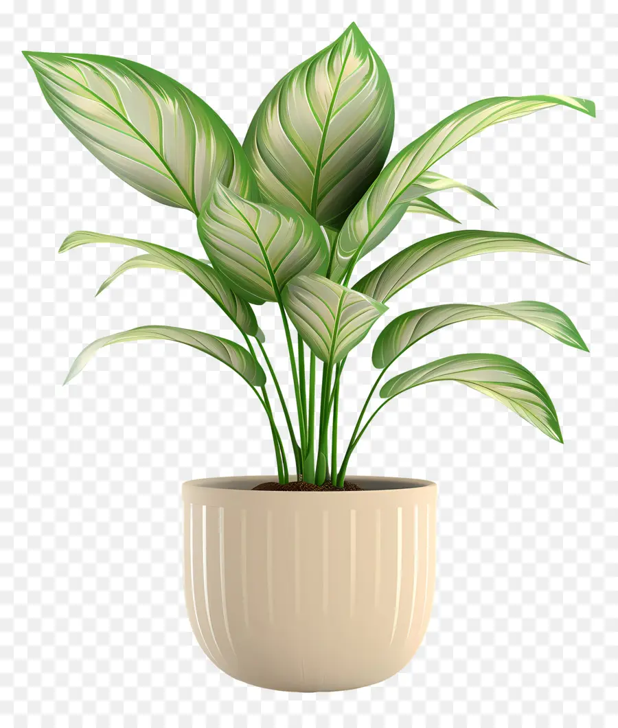 Planta Verde，Planta De Interior PNG