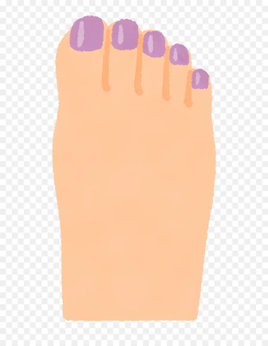 Pie，Uñas PNG