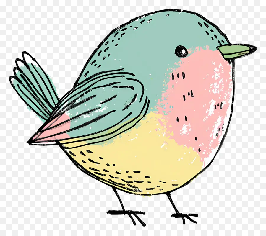 Pájaro，Ilustración De Aves PNG