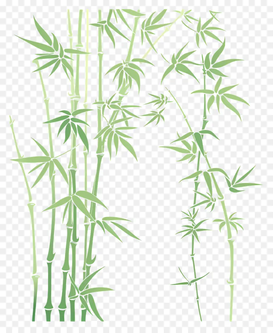 Bambú，Las Plantas PNG
