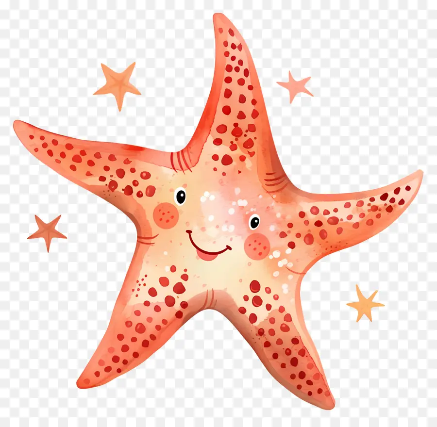 Estrella De Mar，Estrella De Mar Sonriente PNG