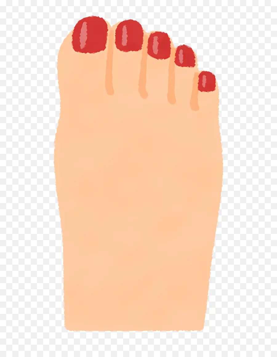 Pie，Uñas PNG