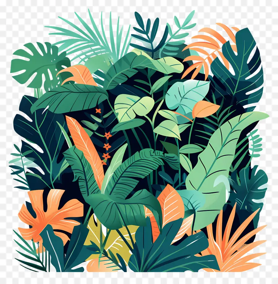 Selva，Plantas Coloridas PNG