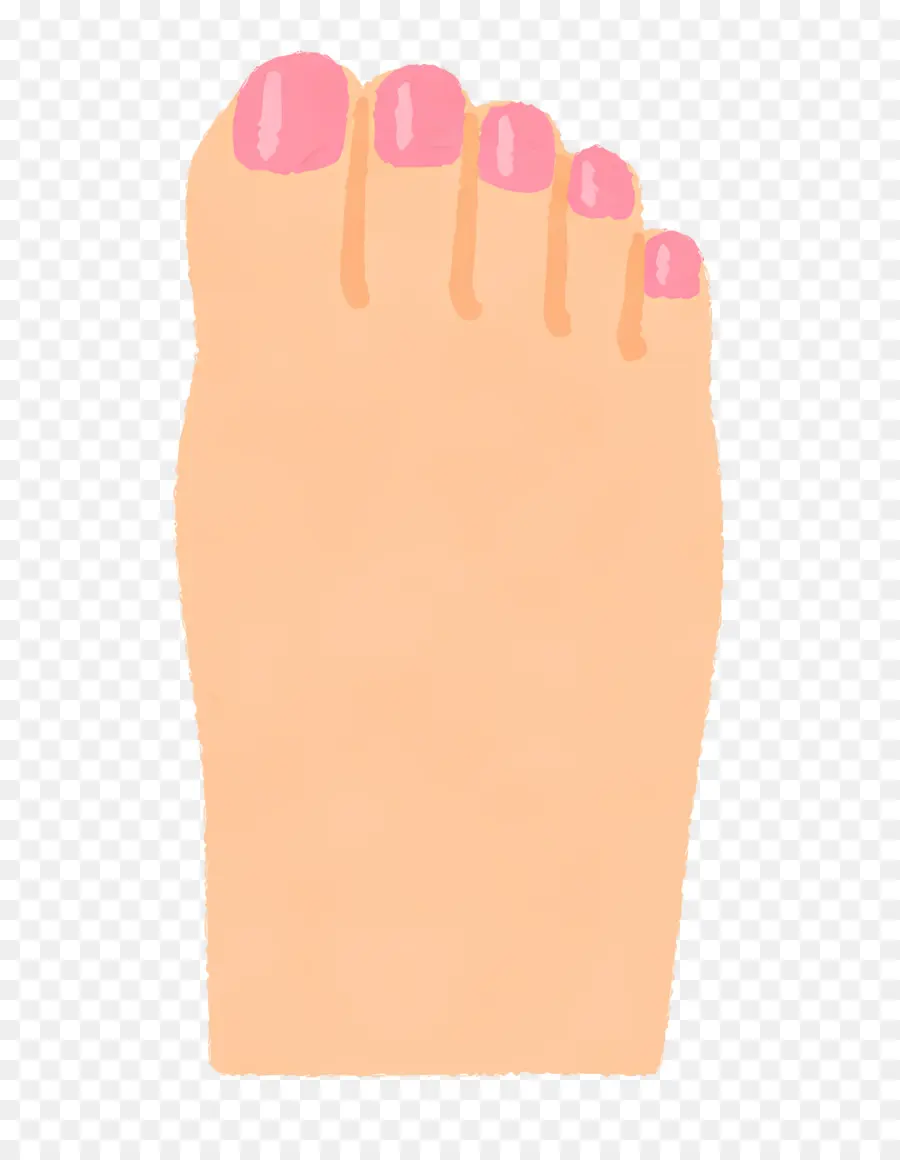 Pie，Uñas PNG