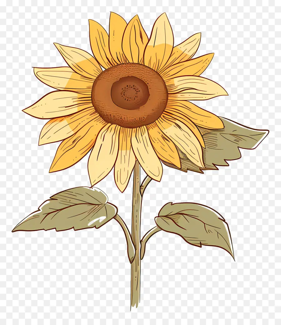 Doodle De Girasol，Girasol PNG