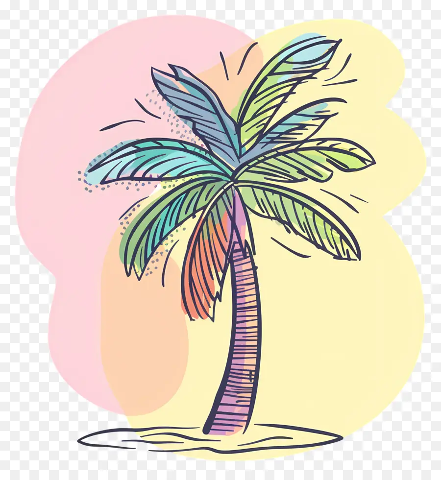 Palmera，Hojas Verdes PNG