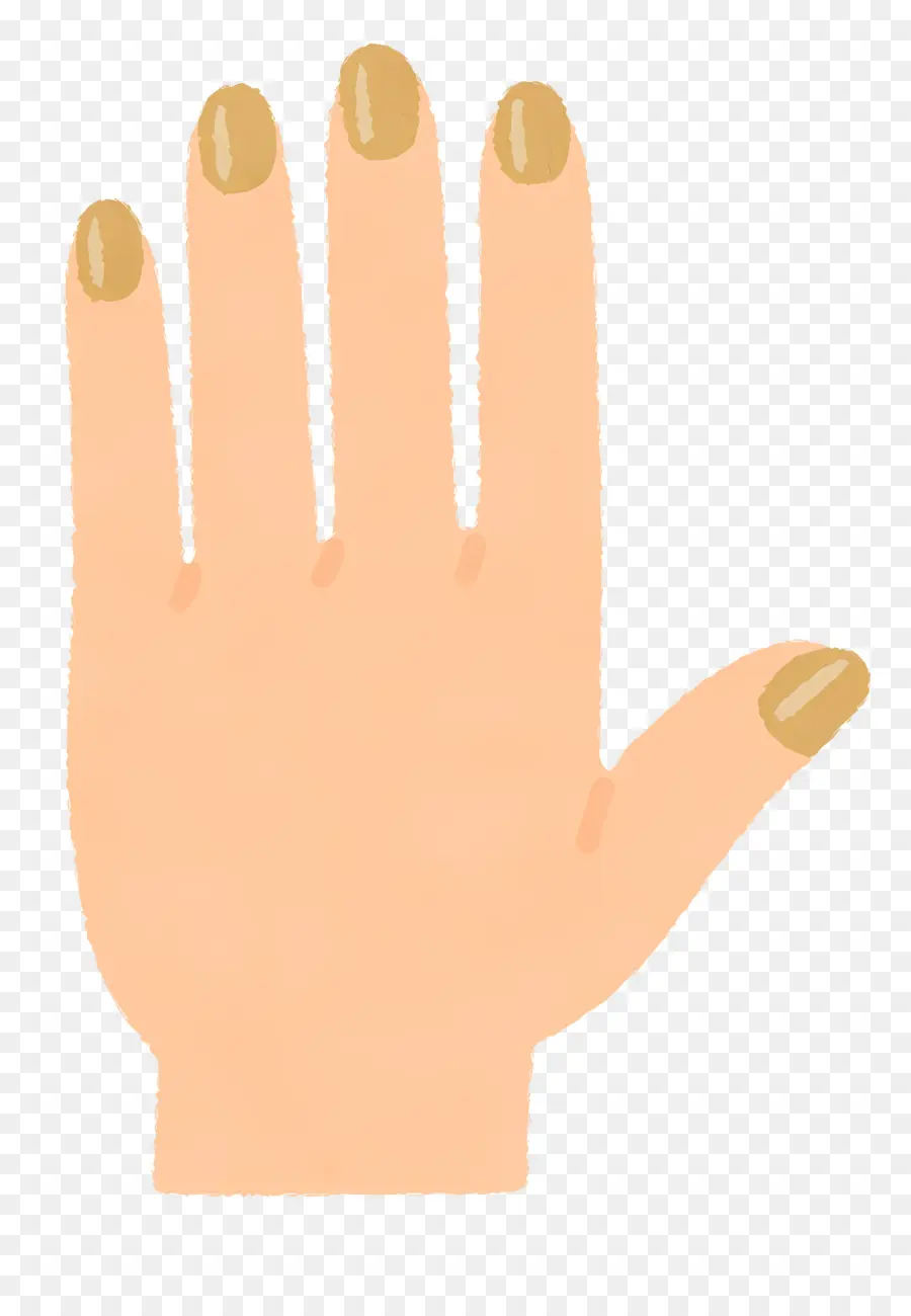 De La Mano，Uñas PNG