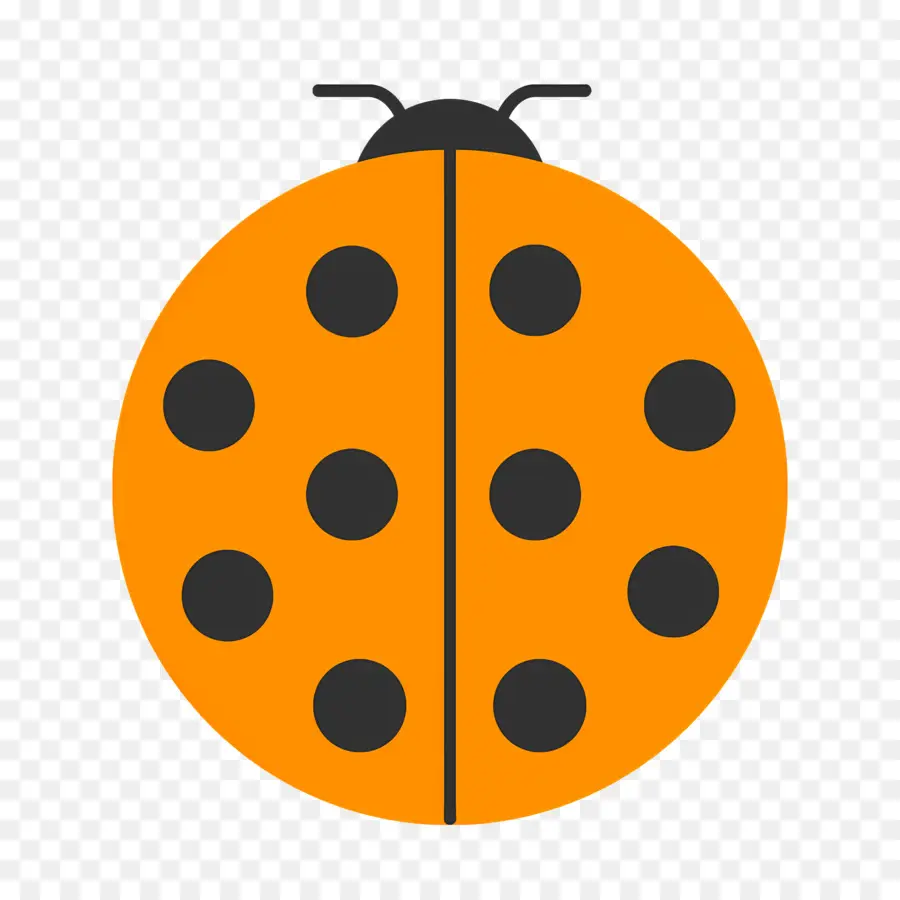 Ladybug，Naranja PNG