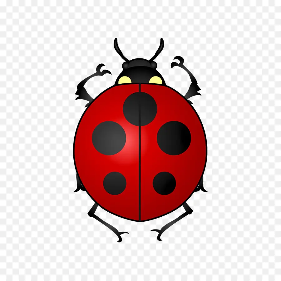 Ladybug，Los Insectos PNG