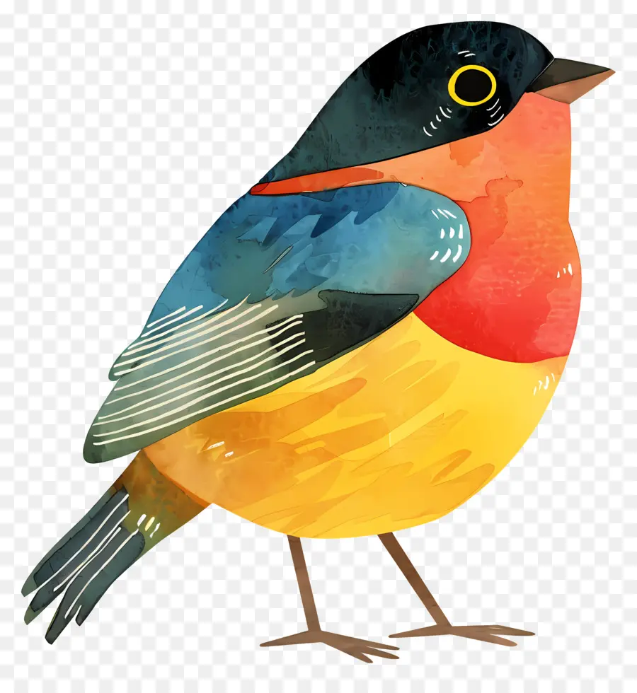 De Dibujos Animados De Aves，Pájaro Pequeño PNG