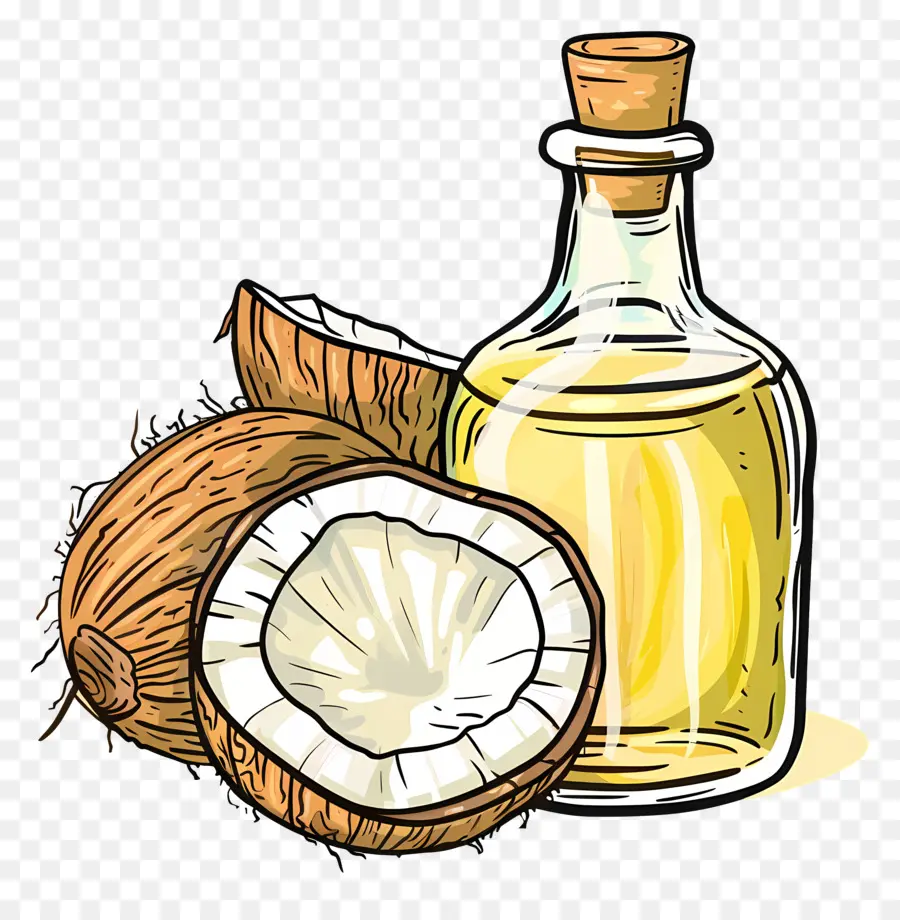 El Aceite De Coco，Coco PNG