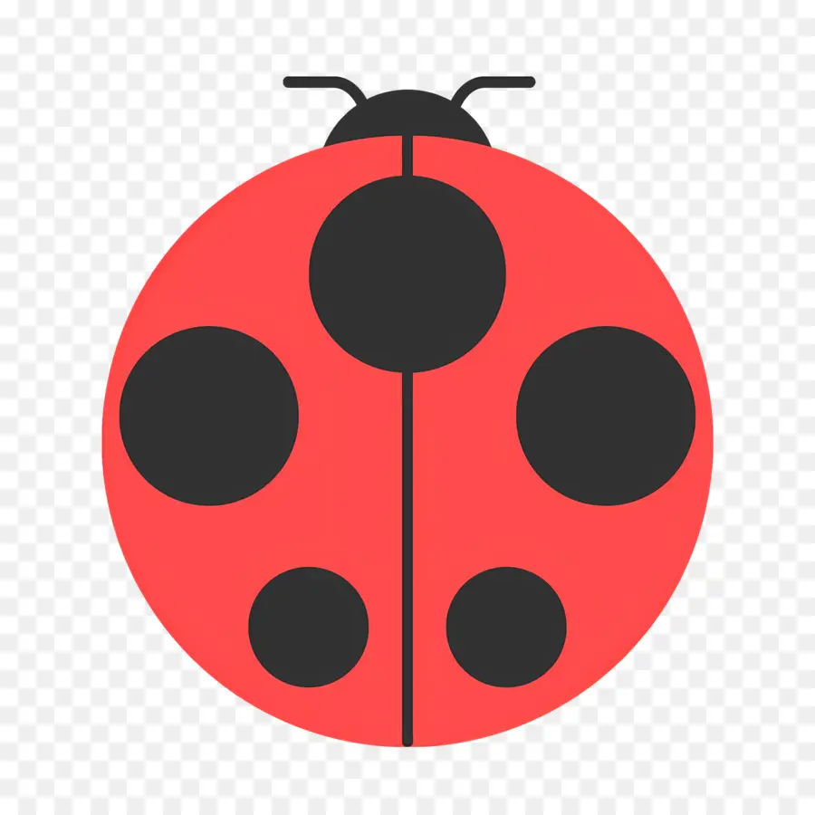 Ladybug，Los Insectos PNG