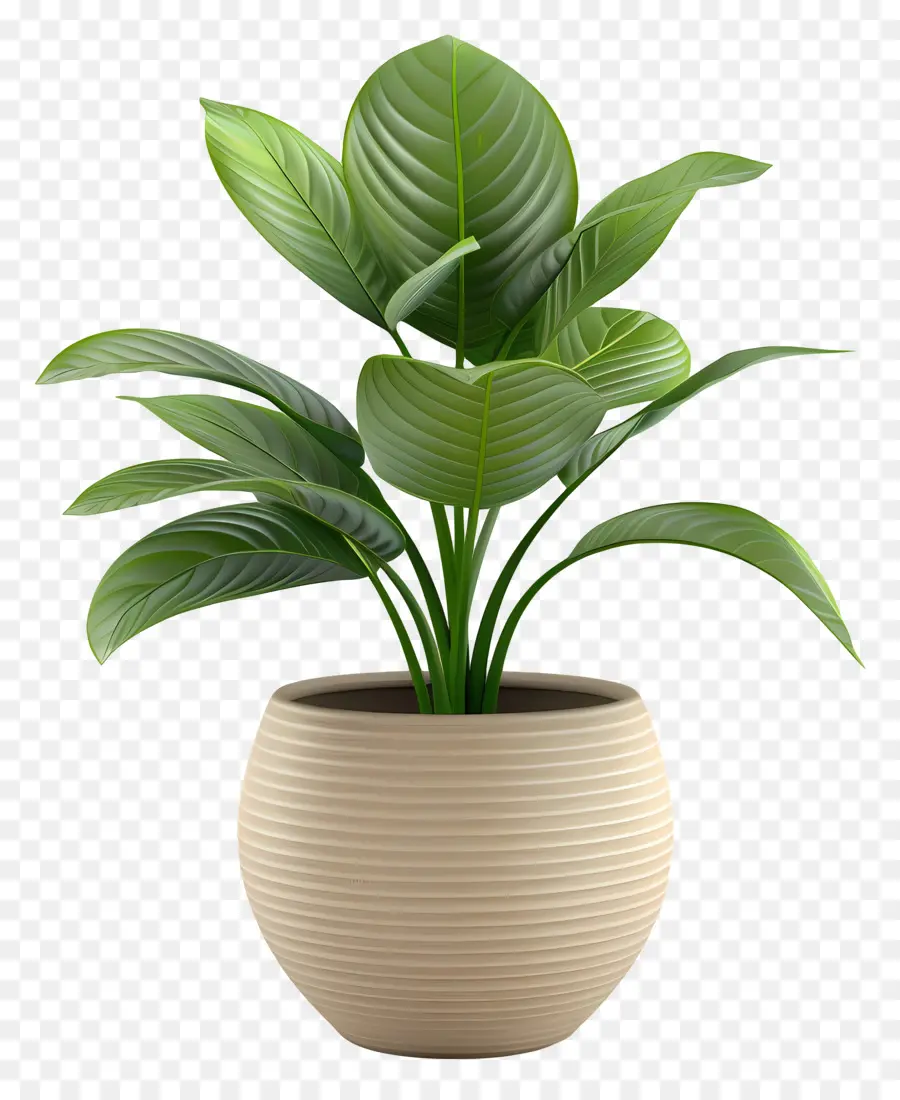 Planta Verde，Pequeña Planta En Maceta PNG