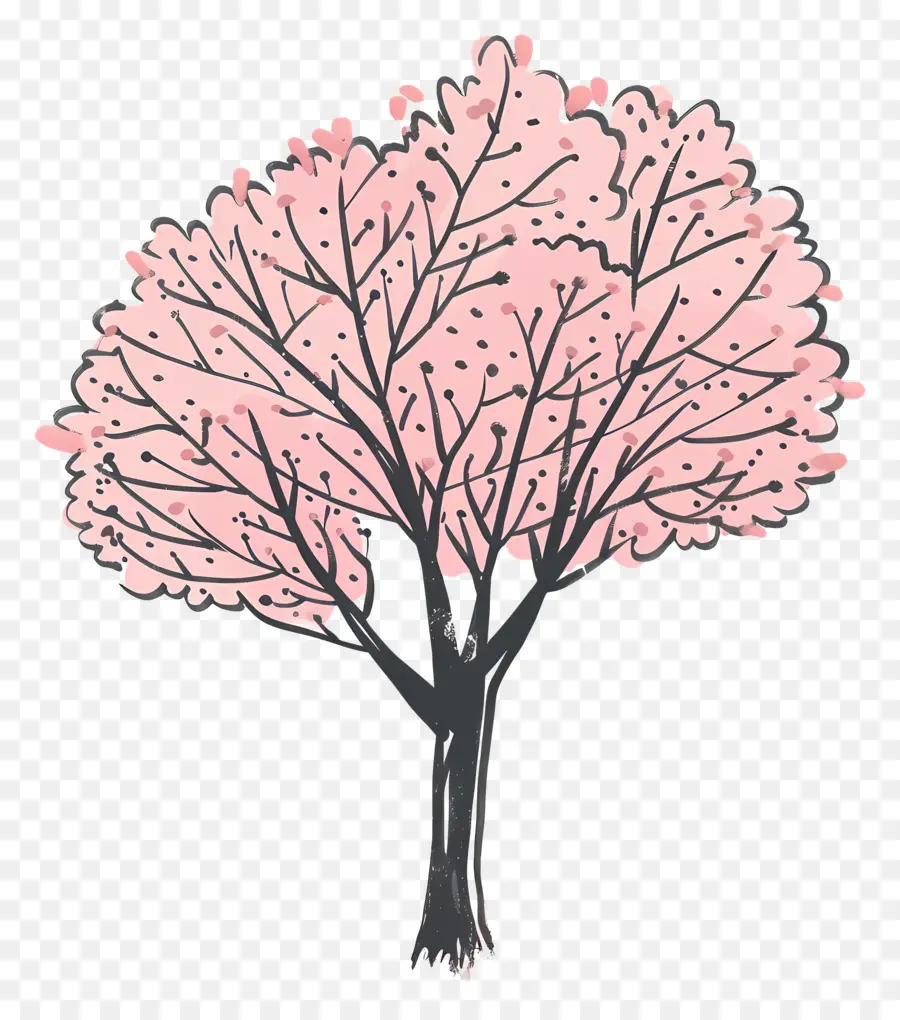 Árbol，De Los Cerezos En Flor PNG