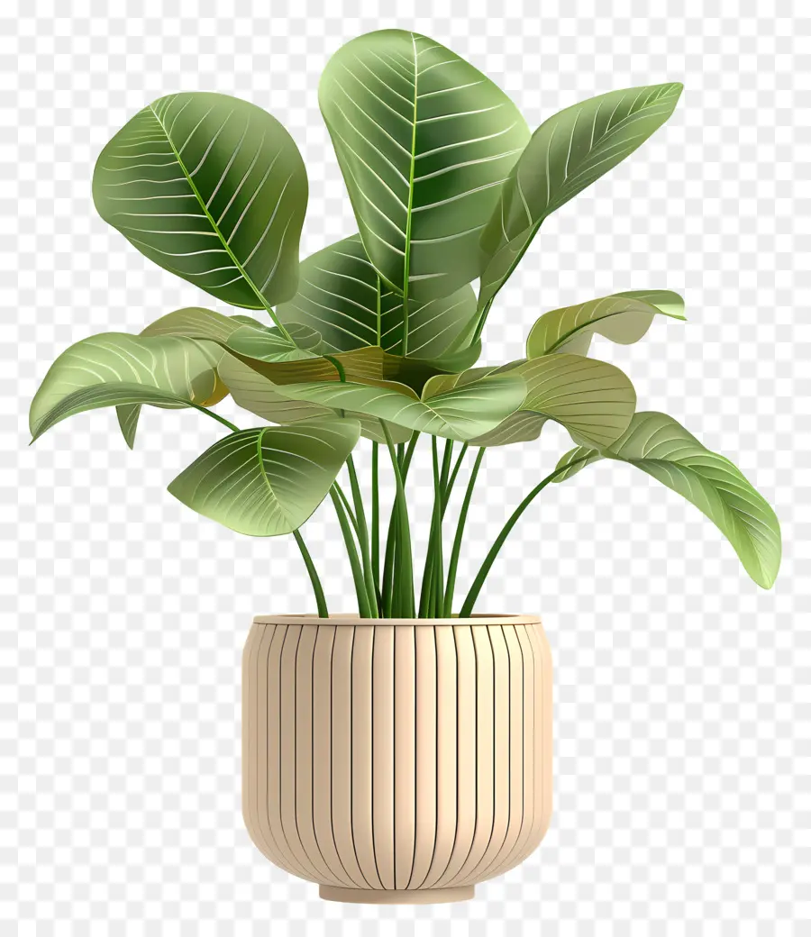 Planta Verde，Olla De Cerámica PNG