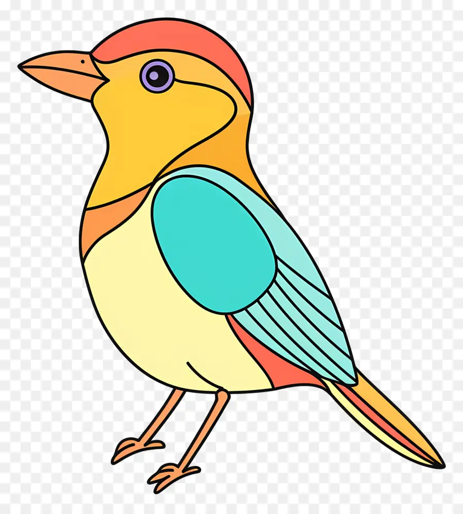 De Dibujos Animados De Aves，Pájaro De Colores PNG