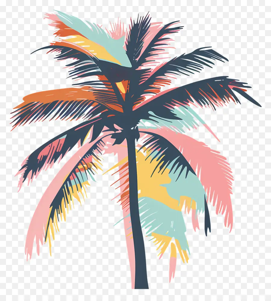 Palmera，Ilustración En Blanco Y Negro PNG