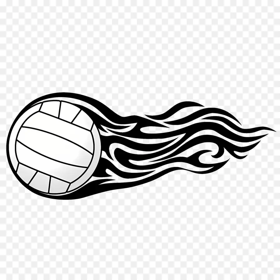 Voleibol，Interior Deporte PNG