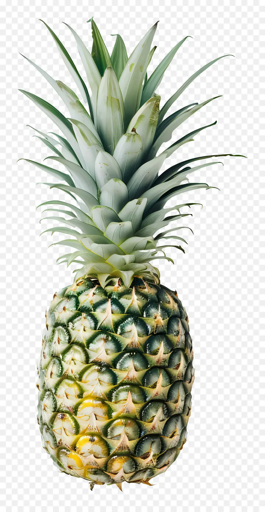 Piña，La Fruta PNG