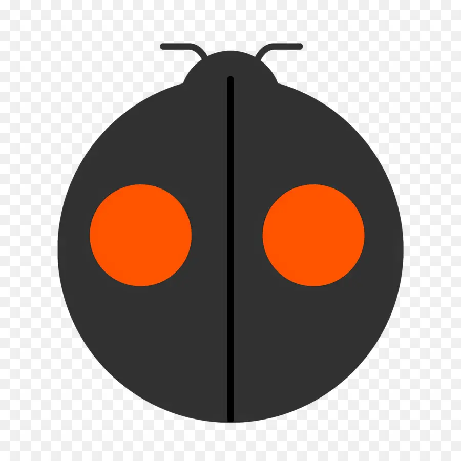 Ladybug，Error PNG
