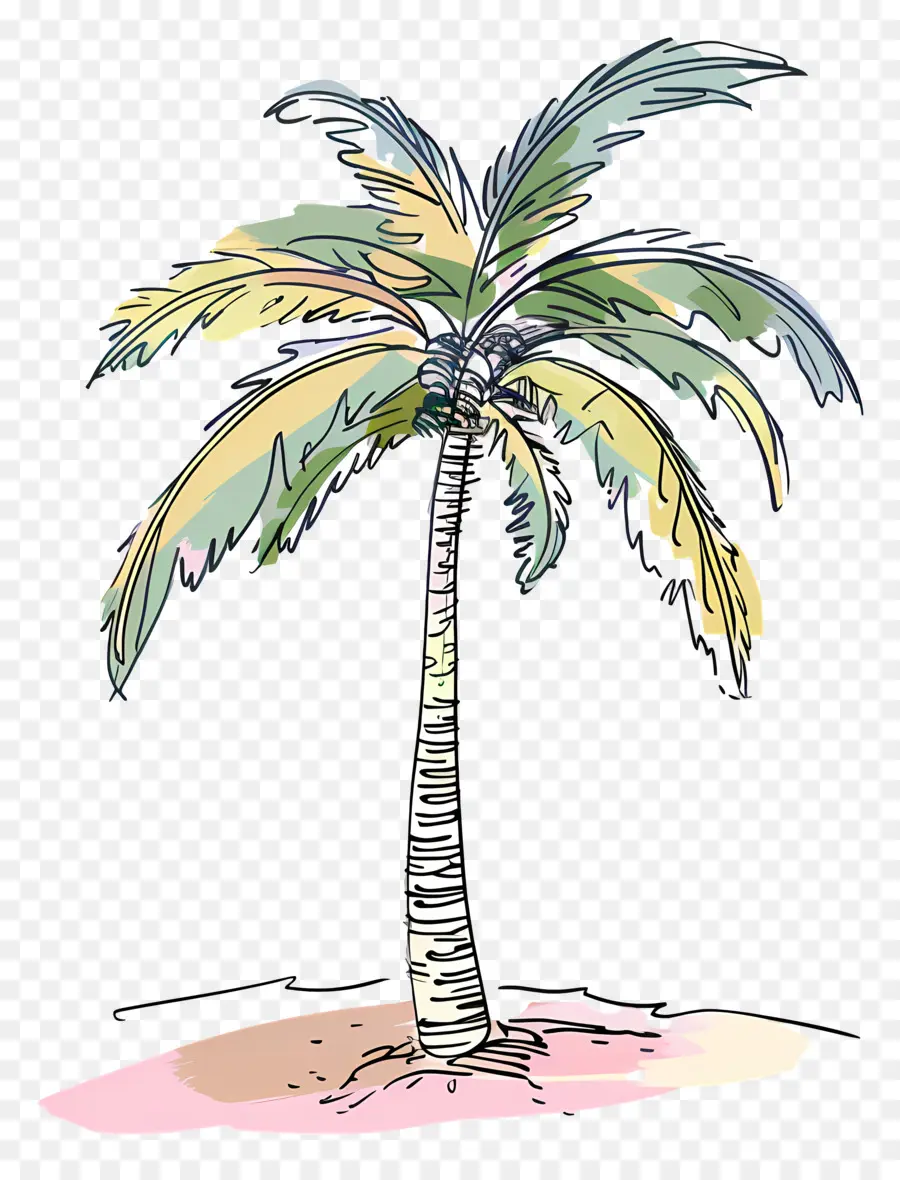 Palmera，Playa De Arena PNG