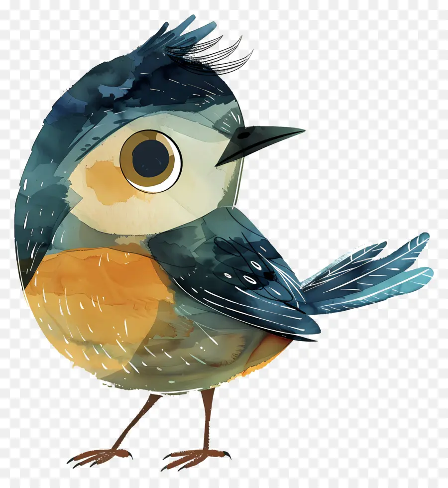 De Dibujos Animados De Aves，Cuerpo Azul PNG