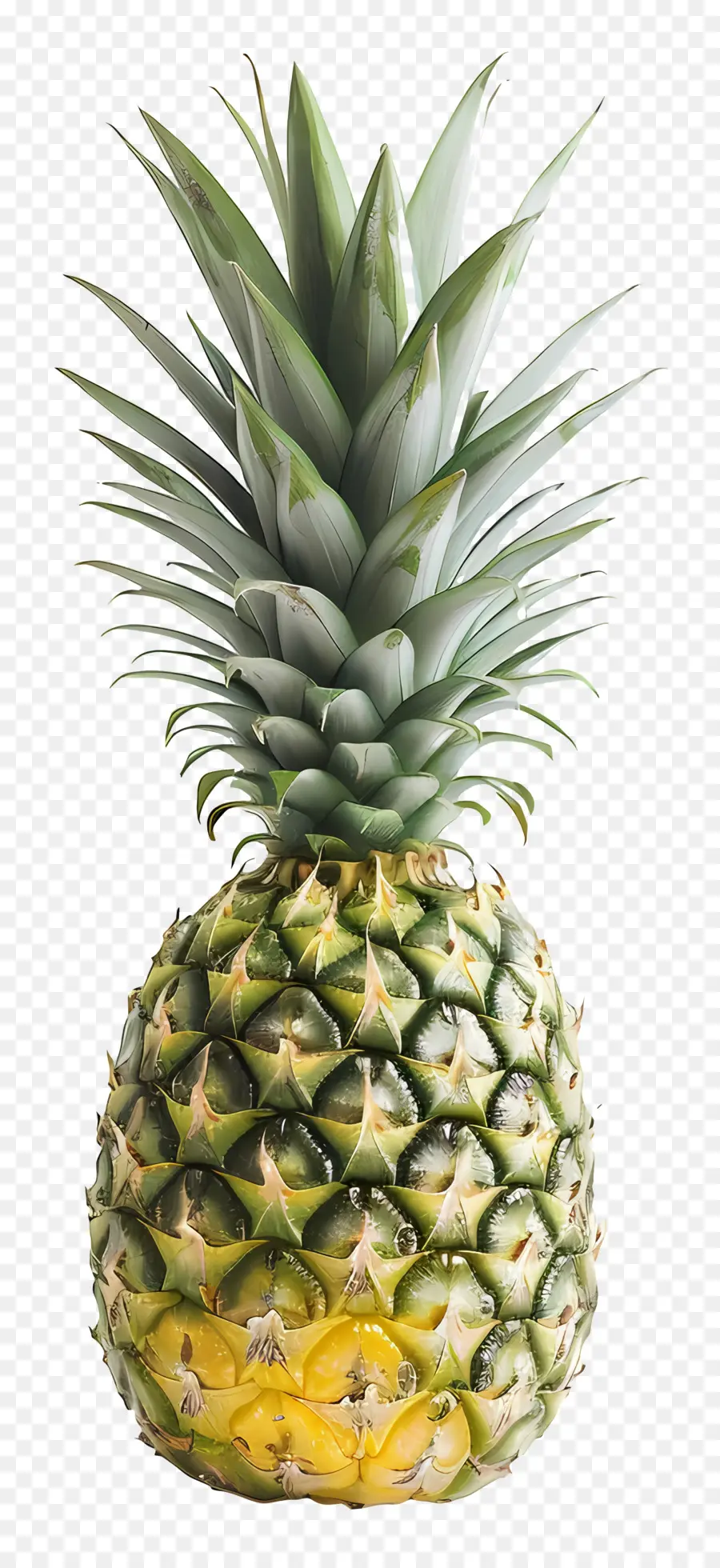 Piña，Frutas Tropicales PNG